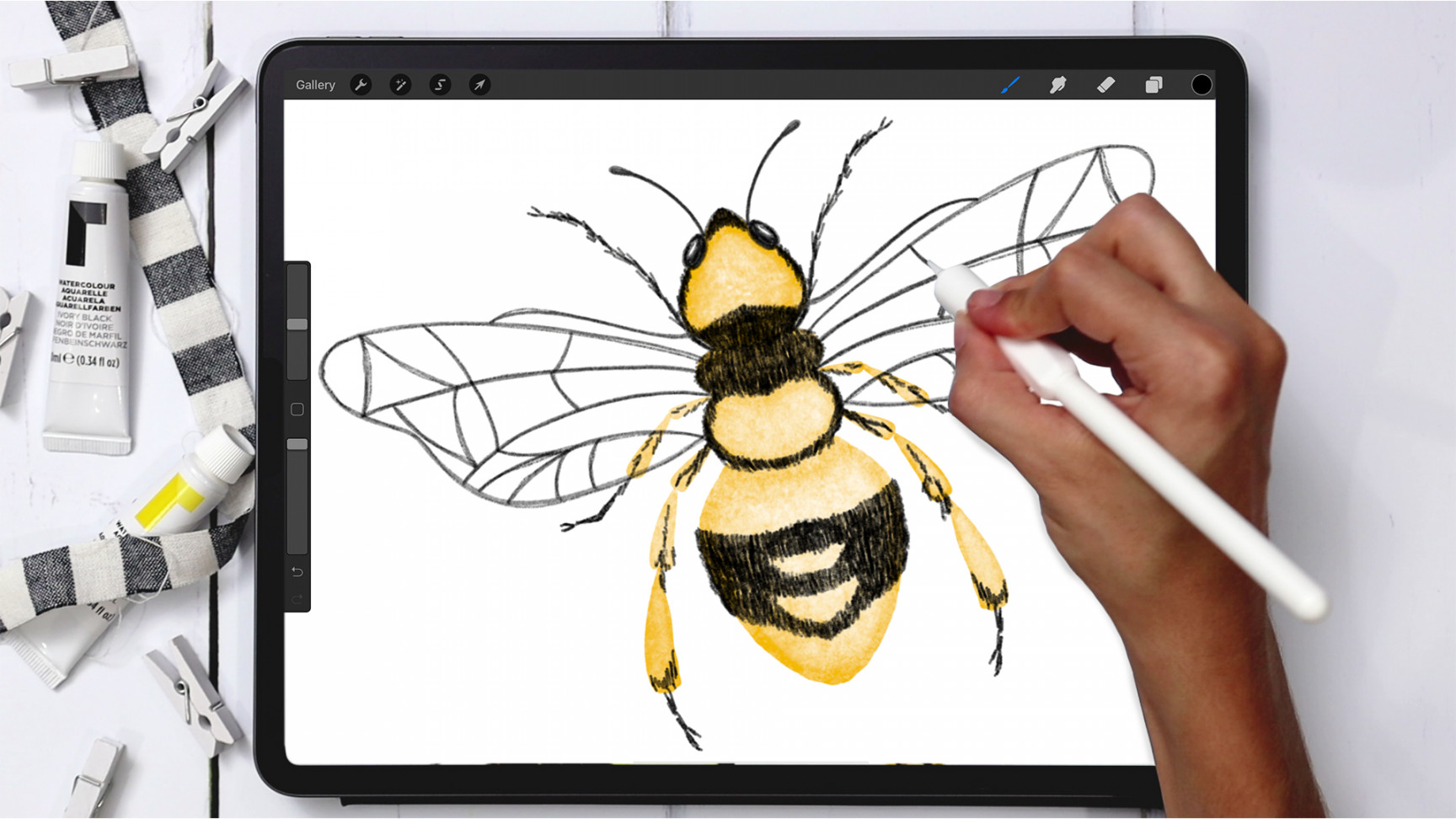 Digital Watercolor! Paint a Honey Bee in Procreate - Every-Tuesday