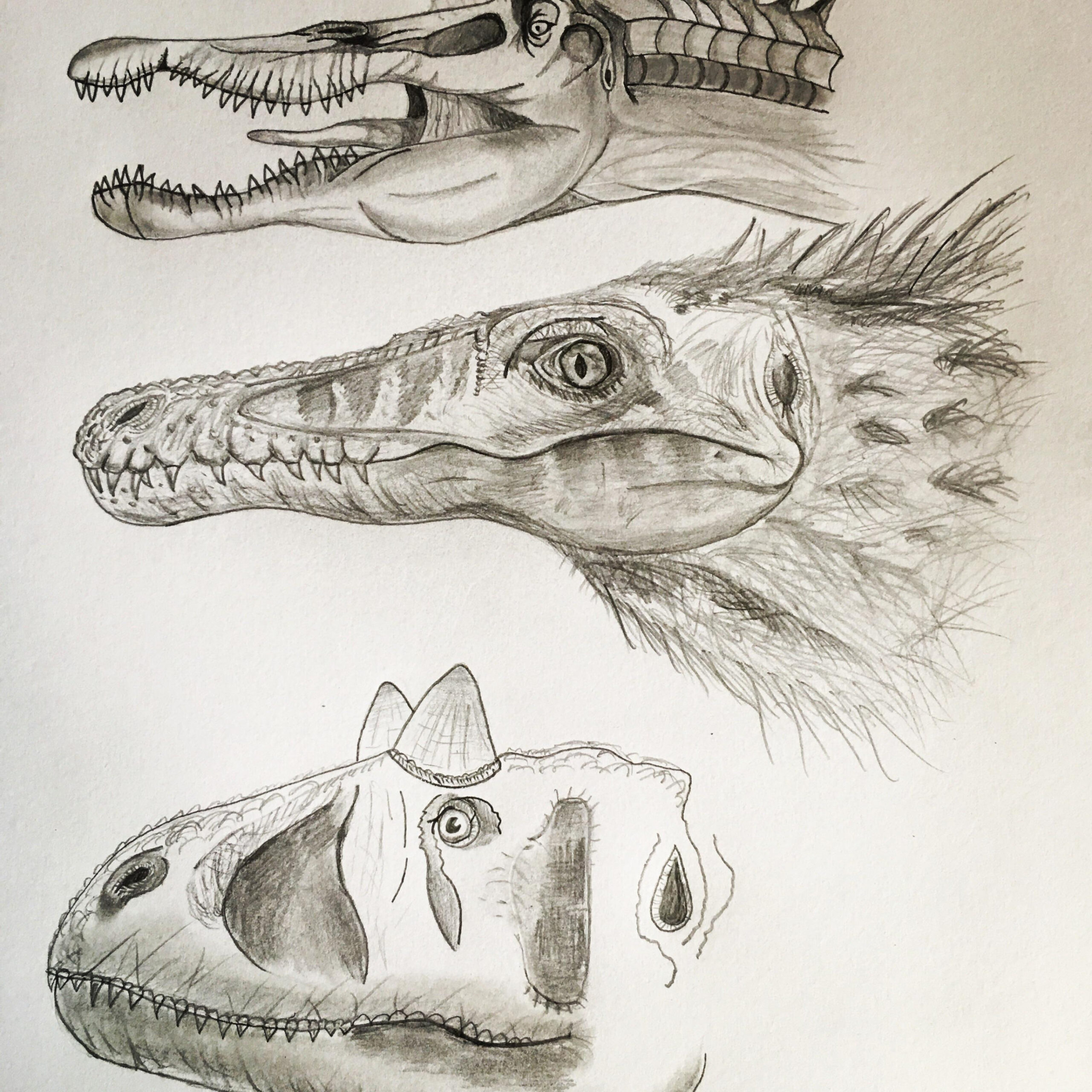 Dino Art] I tried my hand at drawing some dinosaurs for the first