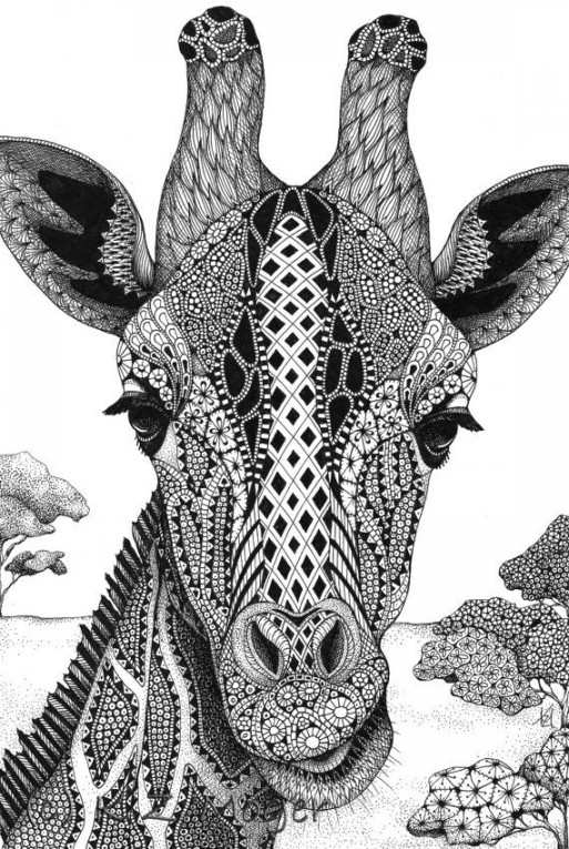 Domestic and Wild Zentangle Animal Portraits  Zentangle drawings