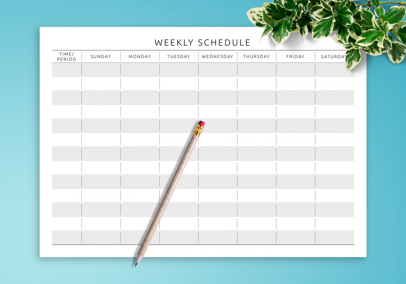 Download Printable Weekly Schedule Template - Landscape View PDF