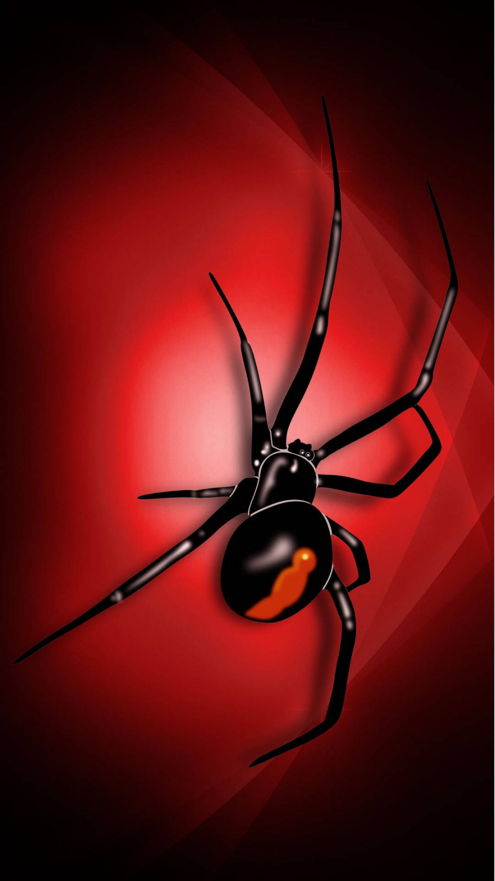 Download Spider Black Widow Digital Art Wallpaper  Wallpapers