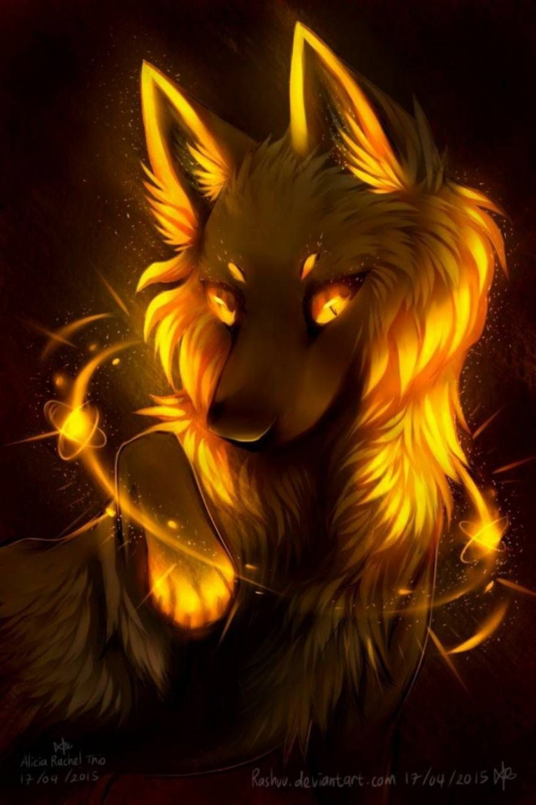 Download Yellow Wolf wallpaper by ademoss - d - Free on ZEDGE