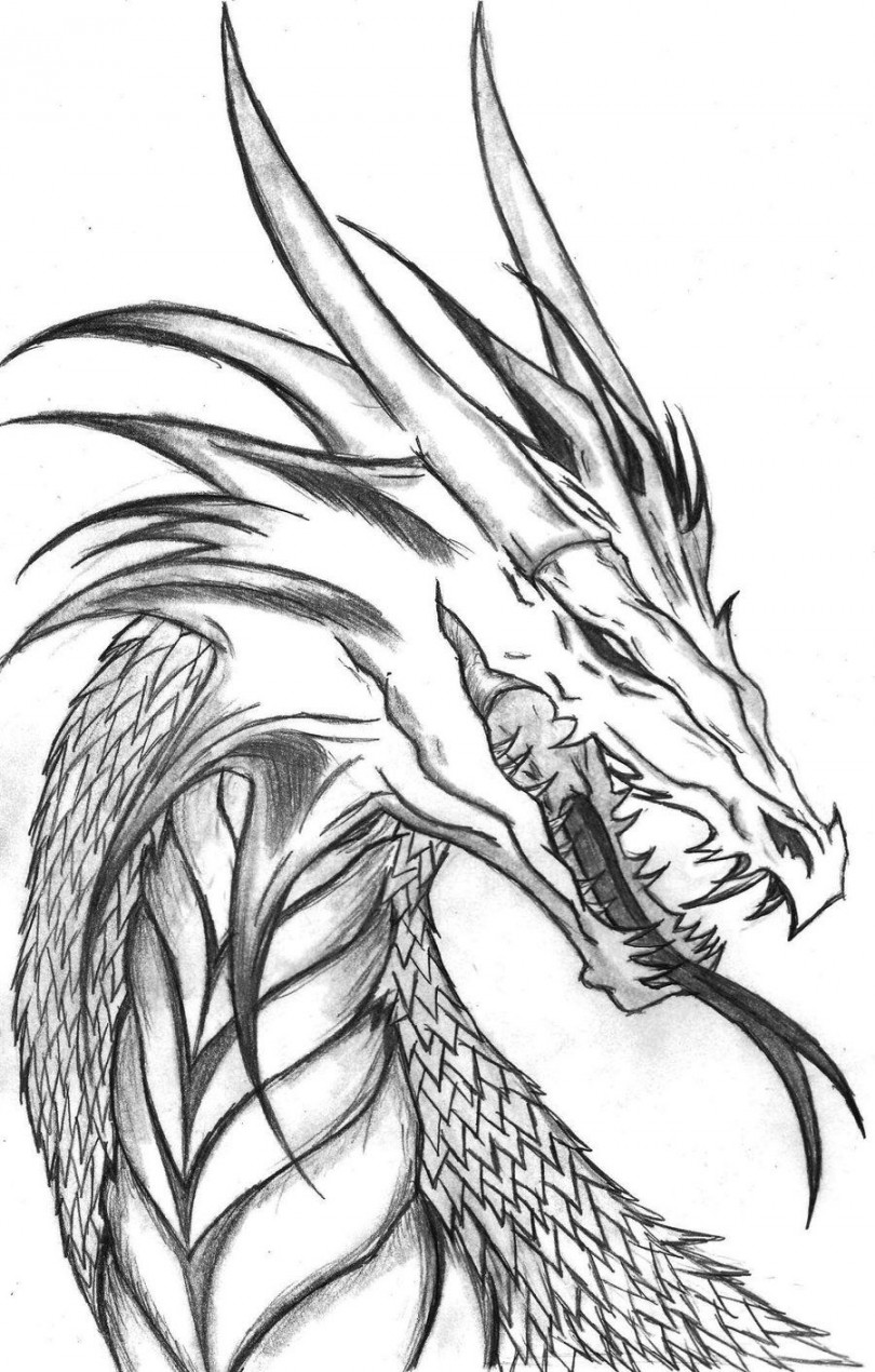 Dragon Head Side Profile by The-MuseDragon on deviantART  Cool