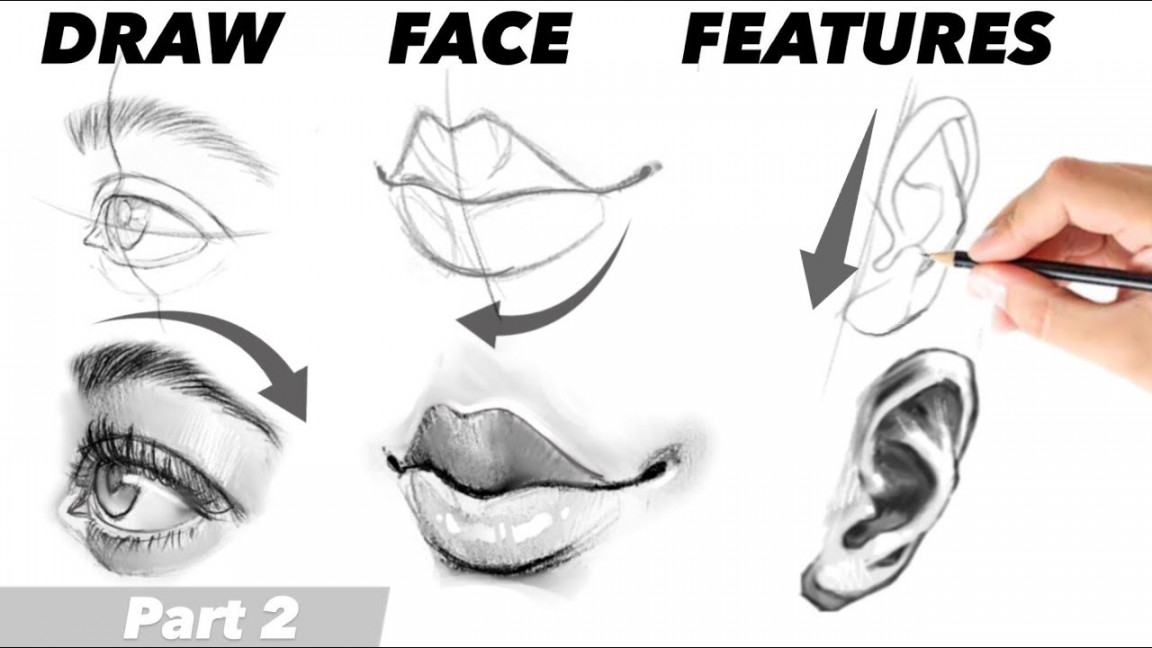 DRAW Eyes, Nose, Lips, Ears  Part : / View