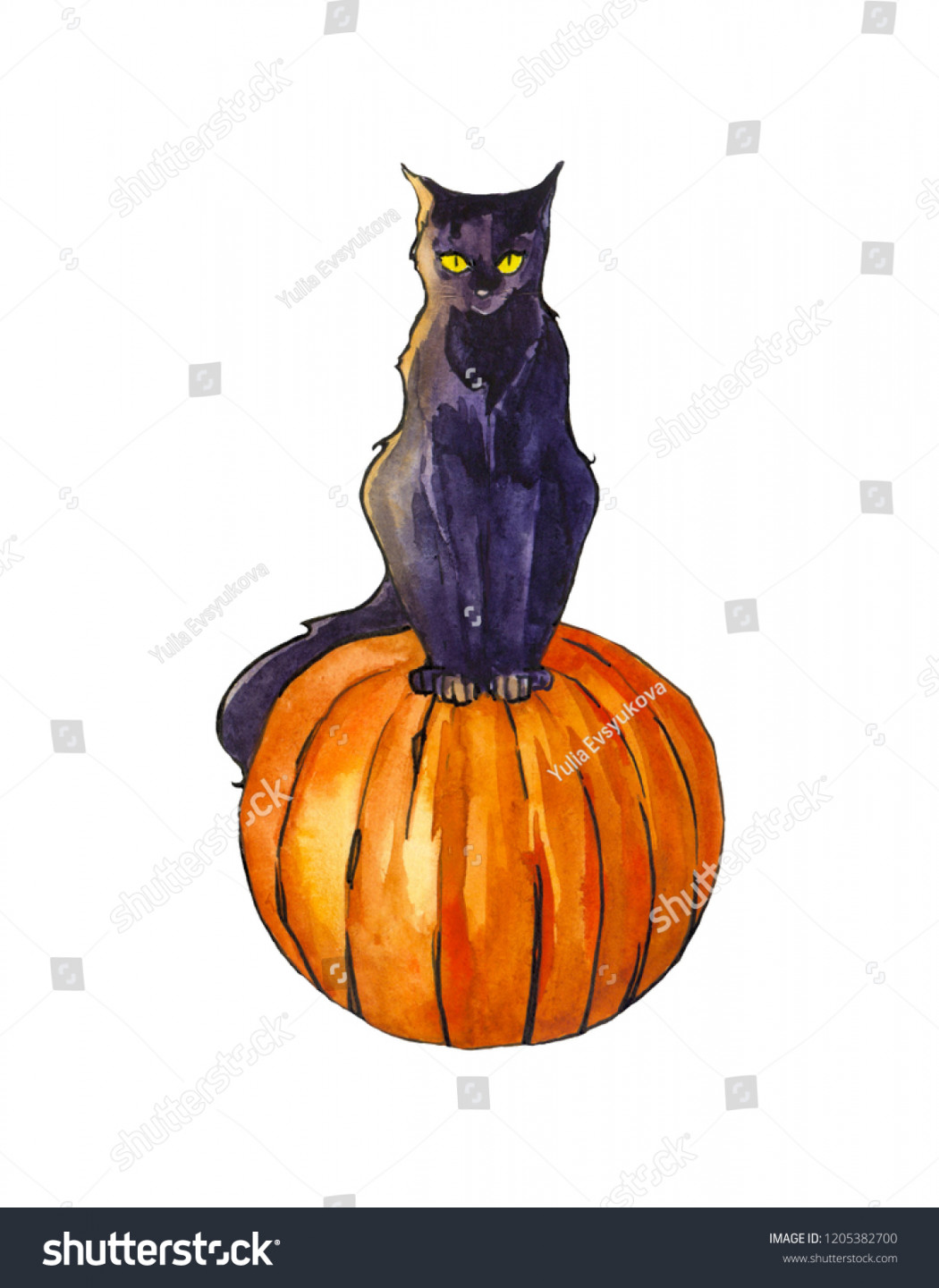 Drawing Black Cat Sitting On Pumpkin Stock Illustration
