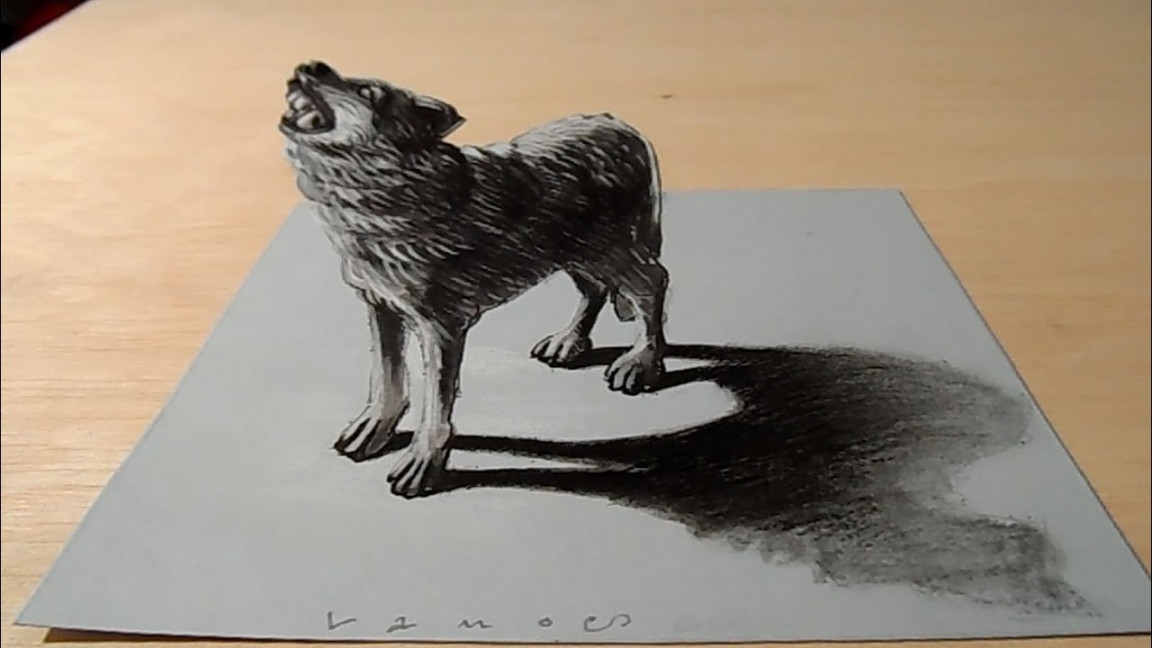 Drawing D Wolf - Anamorphic Illusion on Paper - Vamos