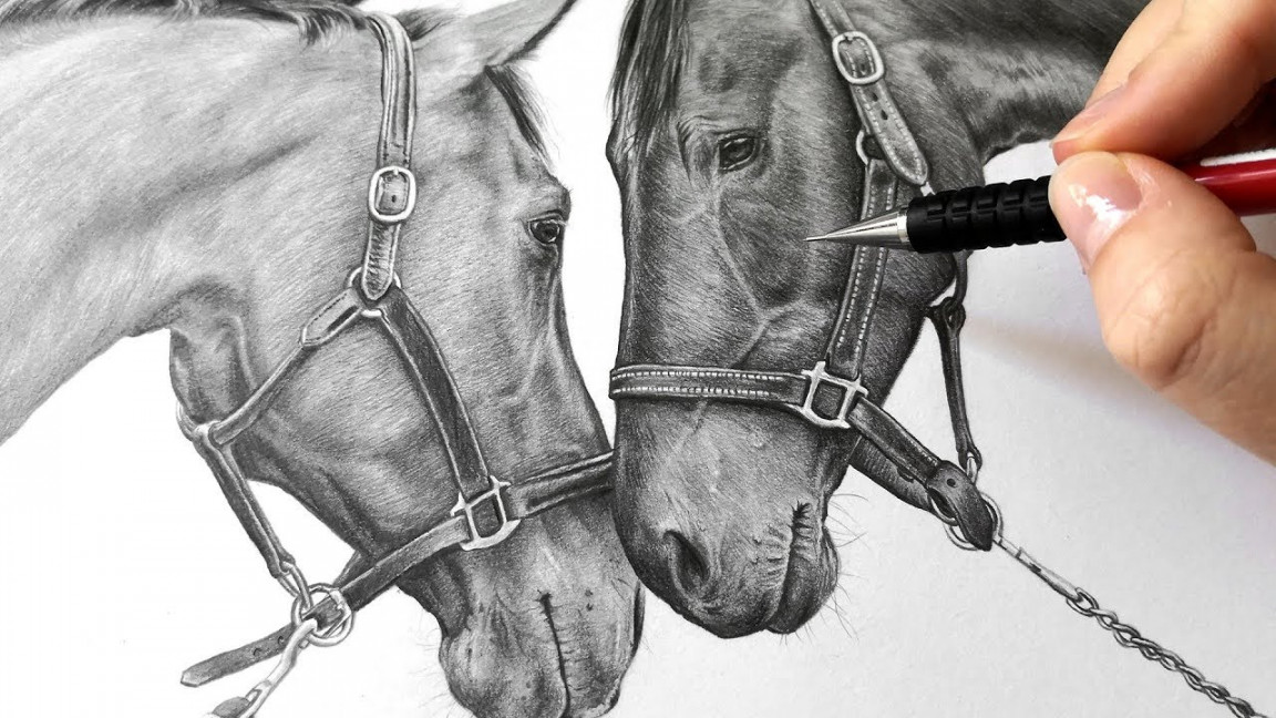 Drawing photo realistic horses with graphite pencils!