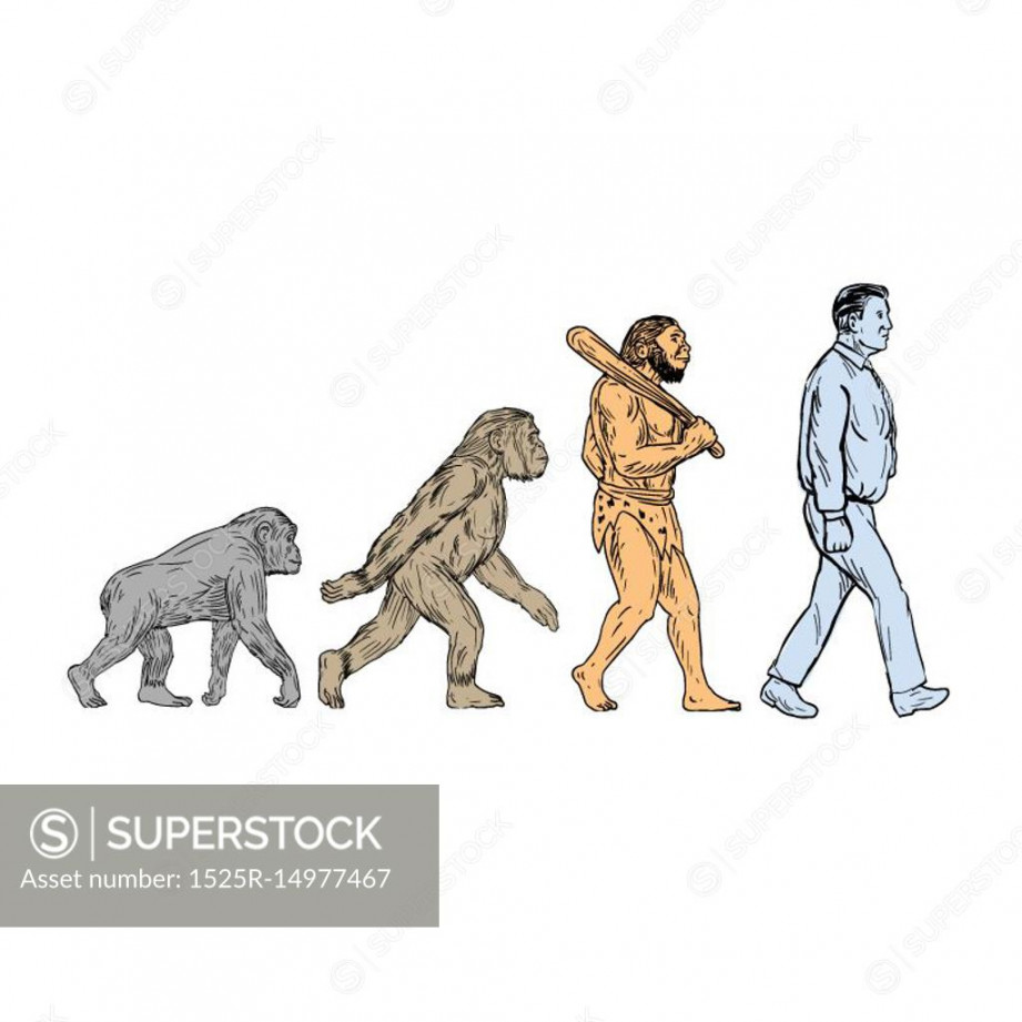 Drawing sketch style illustration showing human evolution from