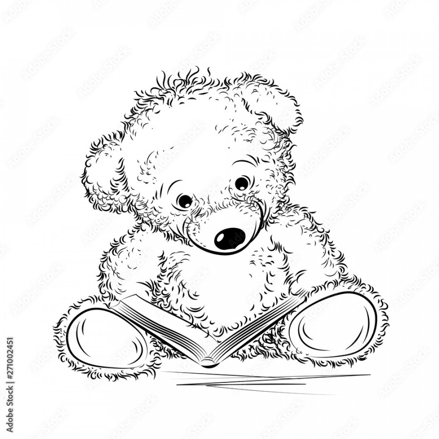 Drawing Teddy Bear with book