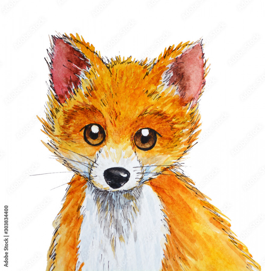 drawing watercolor orange fox illustration Stock-Illustration