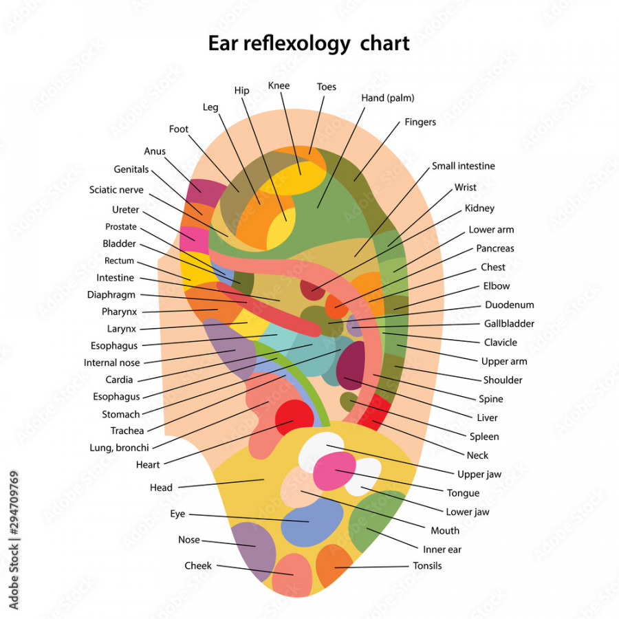 Ear reflexology chart with description of the corresponding