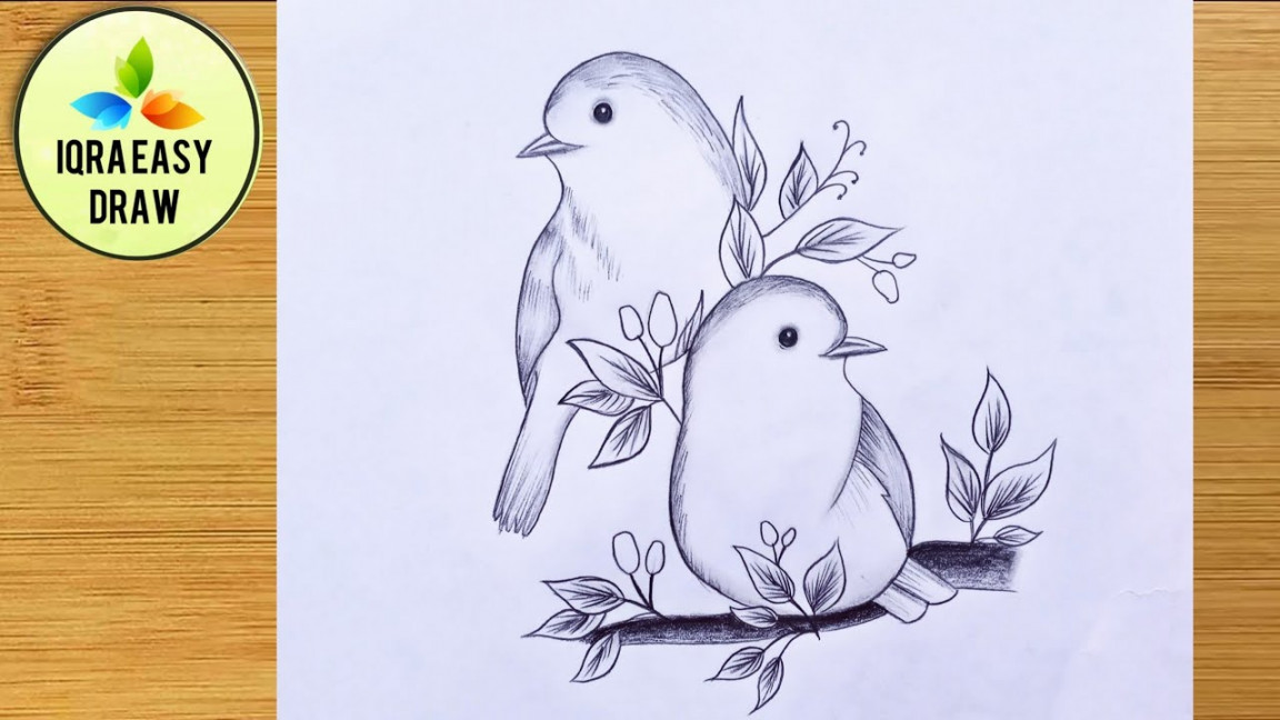 Easy Birds Drawing  How to draw two birds step by step  pencil Sketch  Drawing