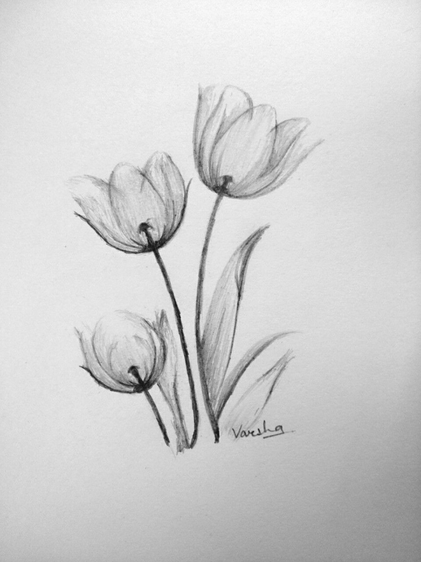 Easy flower shading  pencil shading techniques  Flower drawing