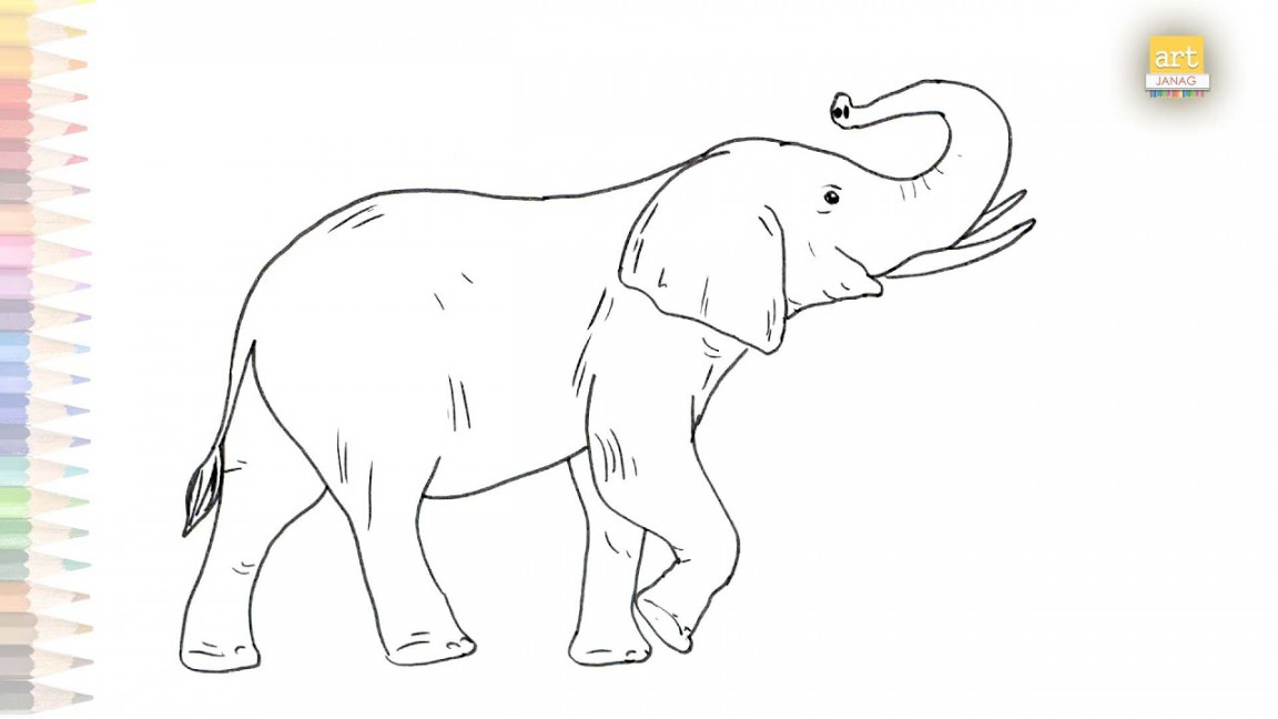 Elephant outline drawing   How to draw an Elephant step by step  Wild  animal drawing tutorials