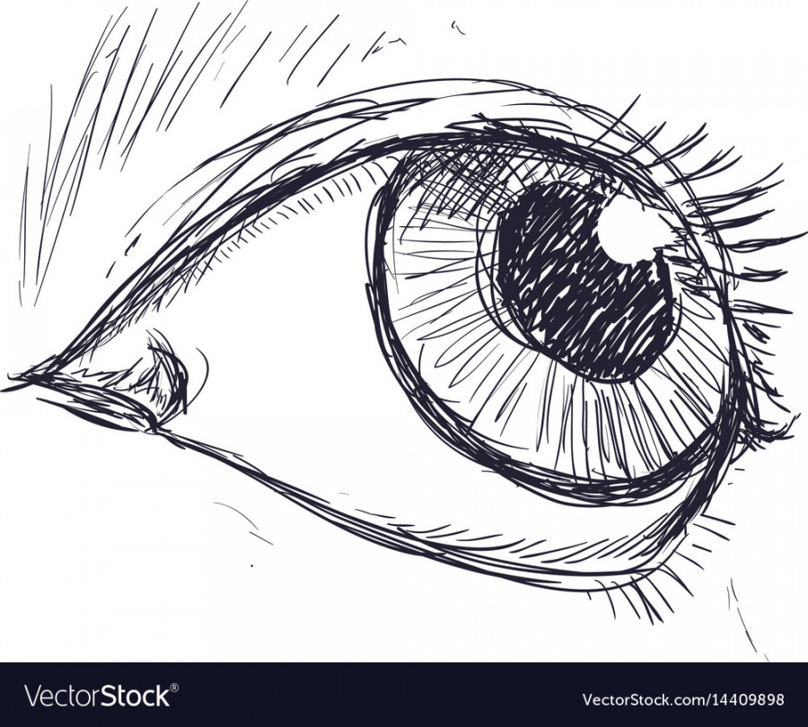 Eyes drawing sketch Royalty Free Vector Image - VectorStock