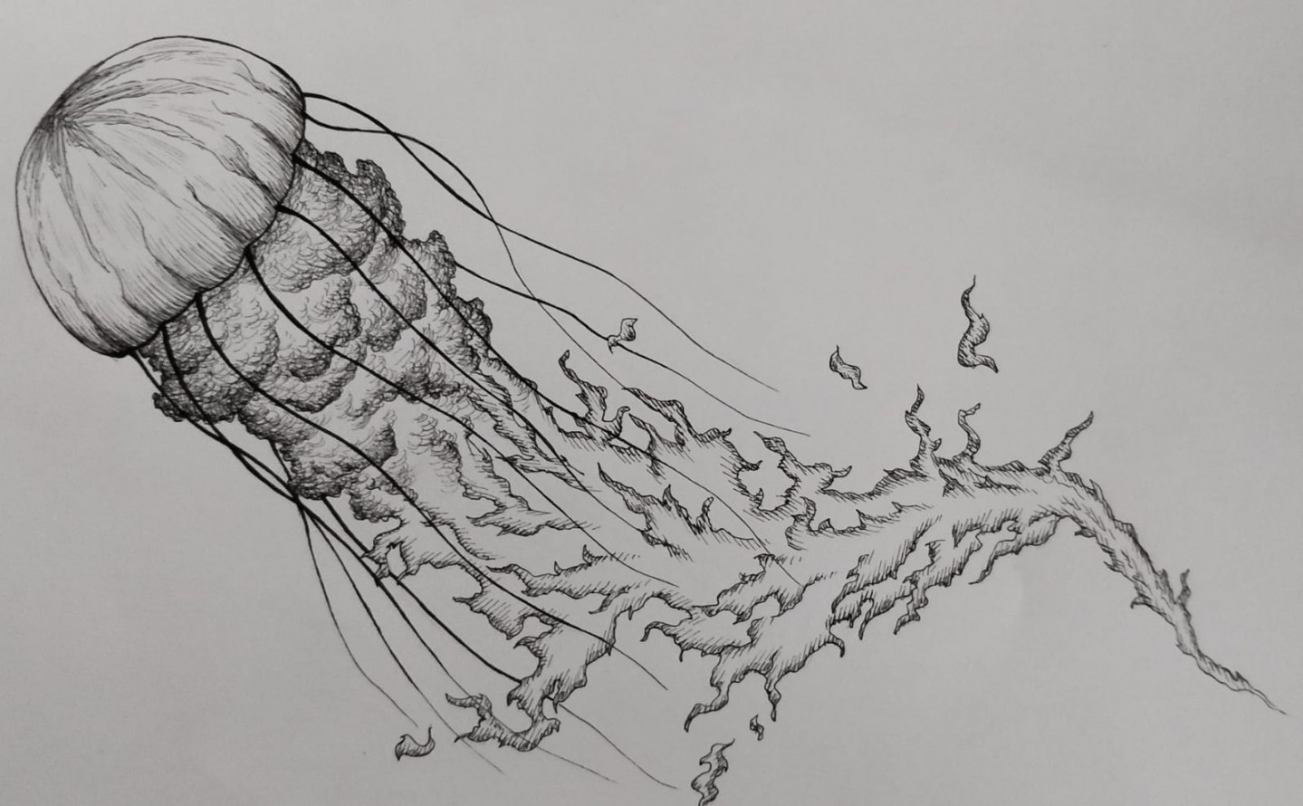 Fire-Jellyfish, Inkdrawing, ×