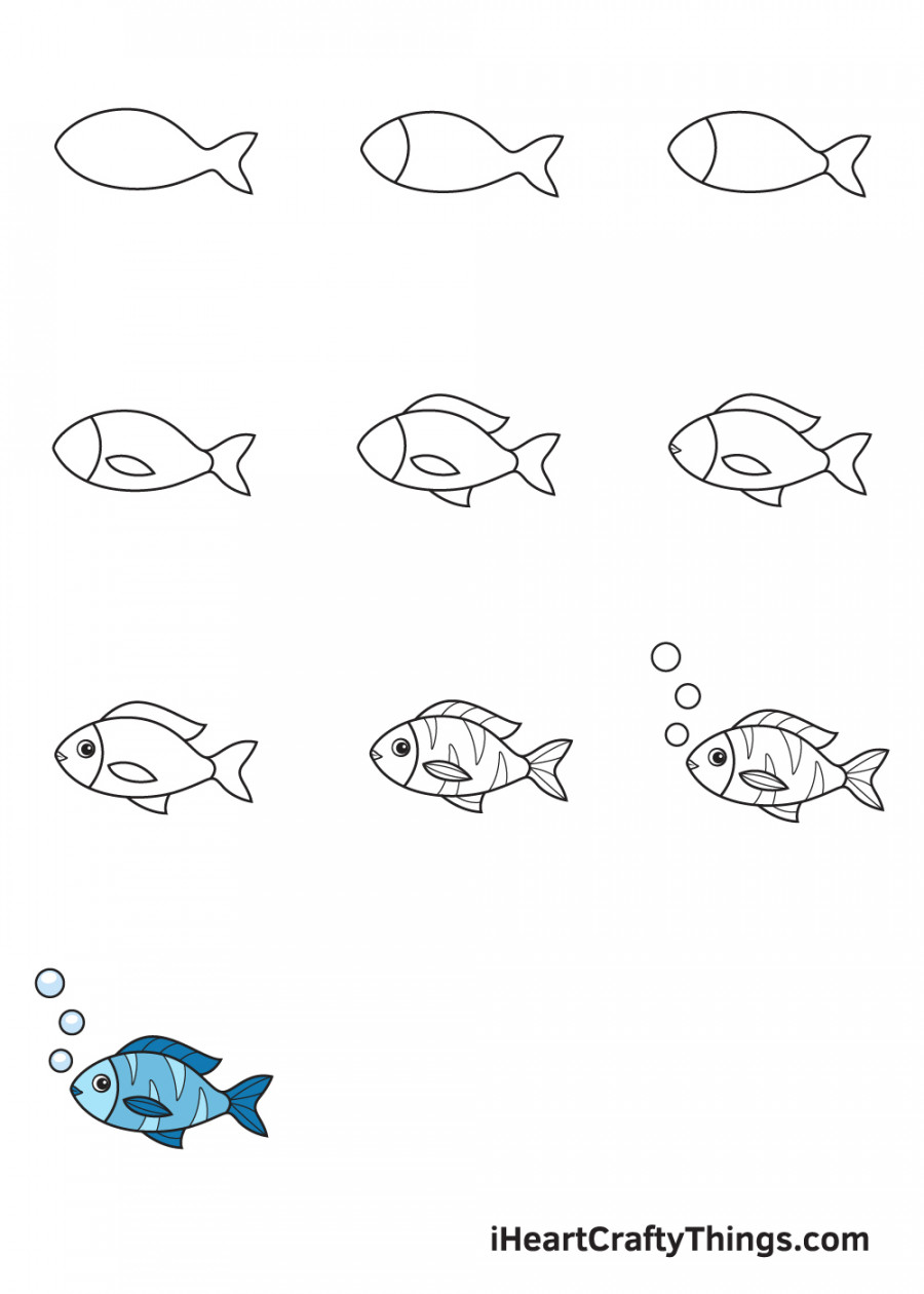 Fish Drawing - How To Draw A Fish Step By Step