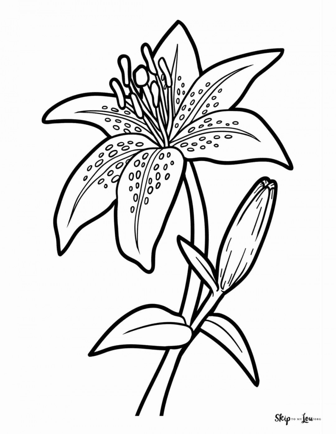 Flower Coloring Pages  Skip To My Lou