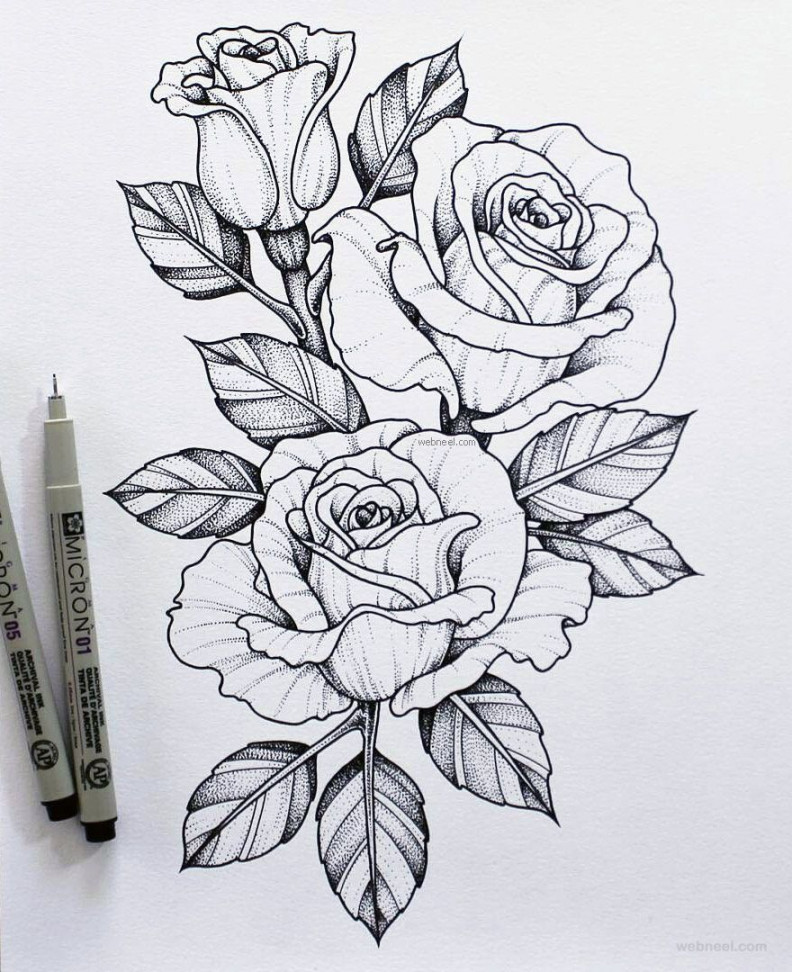 -flower-drawing-rose  Daily Inspiration  Beautiful flower