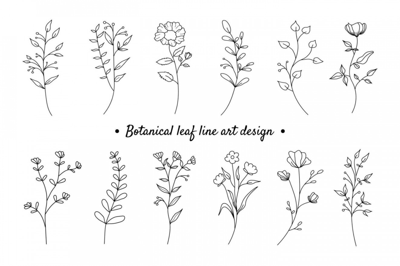 Flower Line Drawing Vector Art, Icons, and Graphics for Free Download