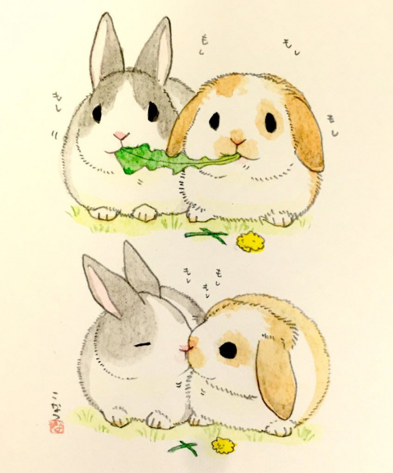 Fluffy rabbits ideas  fluffy rabbit, rabbit collection, bunny art