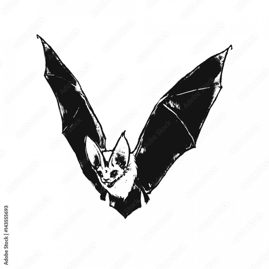 Flying bat. Little vampire. Gothic illustration