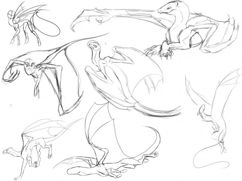 Free Dragon Poses/bases by Shadow-Crystol  Dragon sketch, Dragon