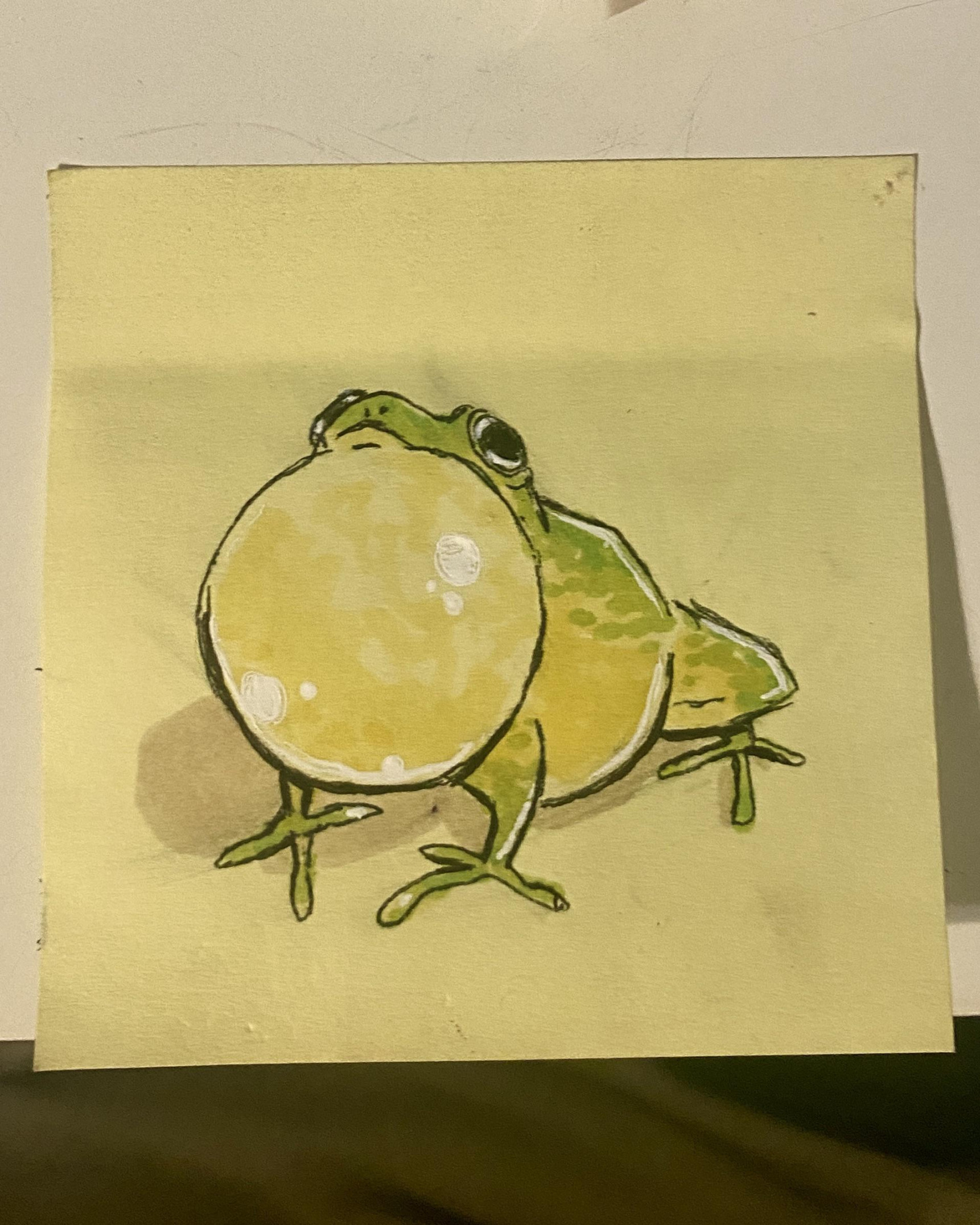 frog (sticky note) : r/doodles