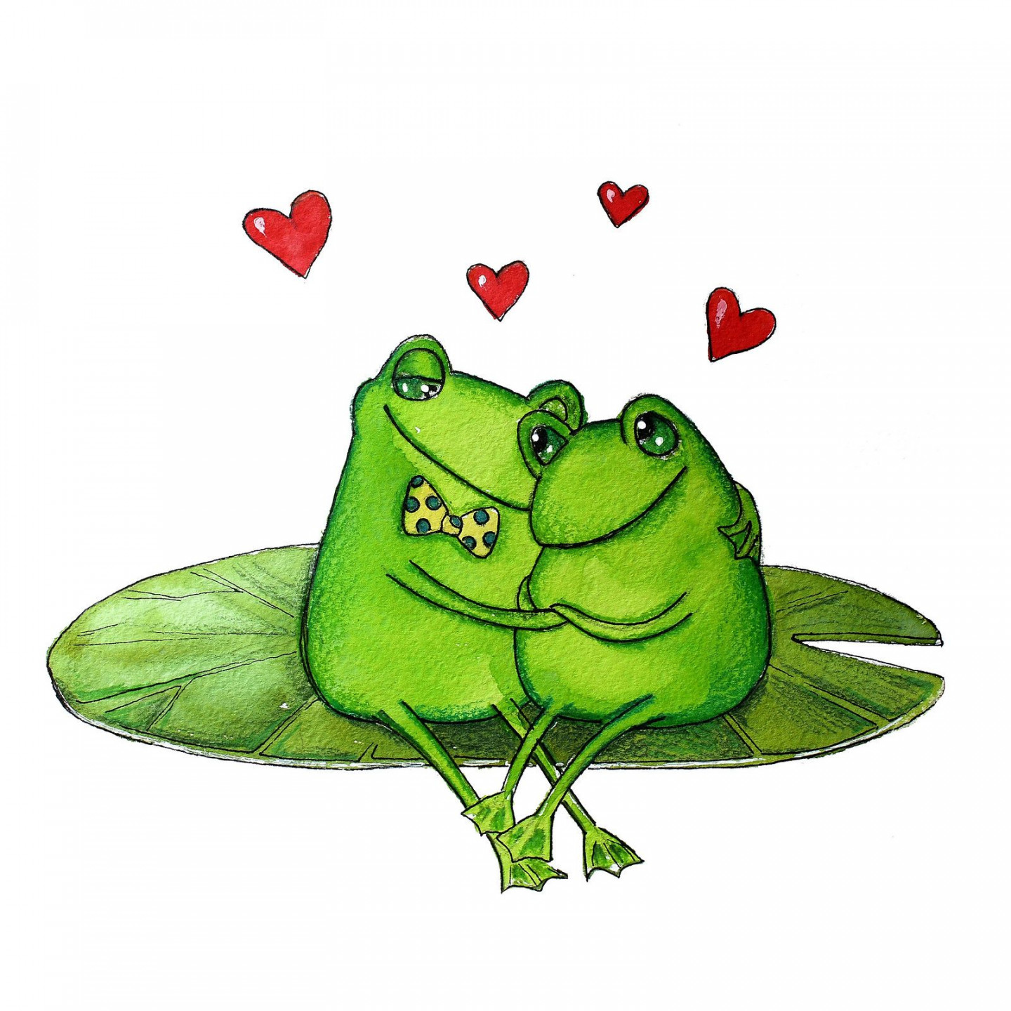 frogs in love  Frog illustration, Frog drawing, Frog art