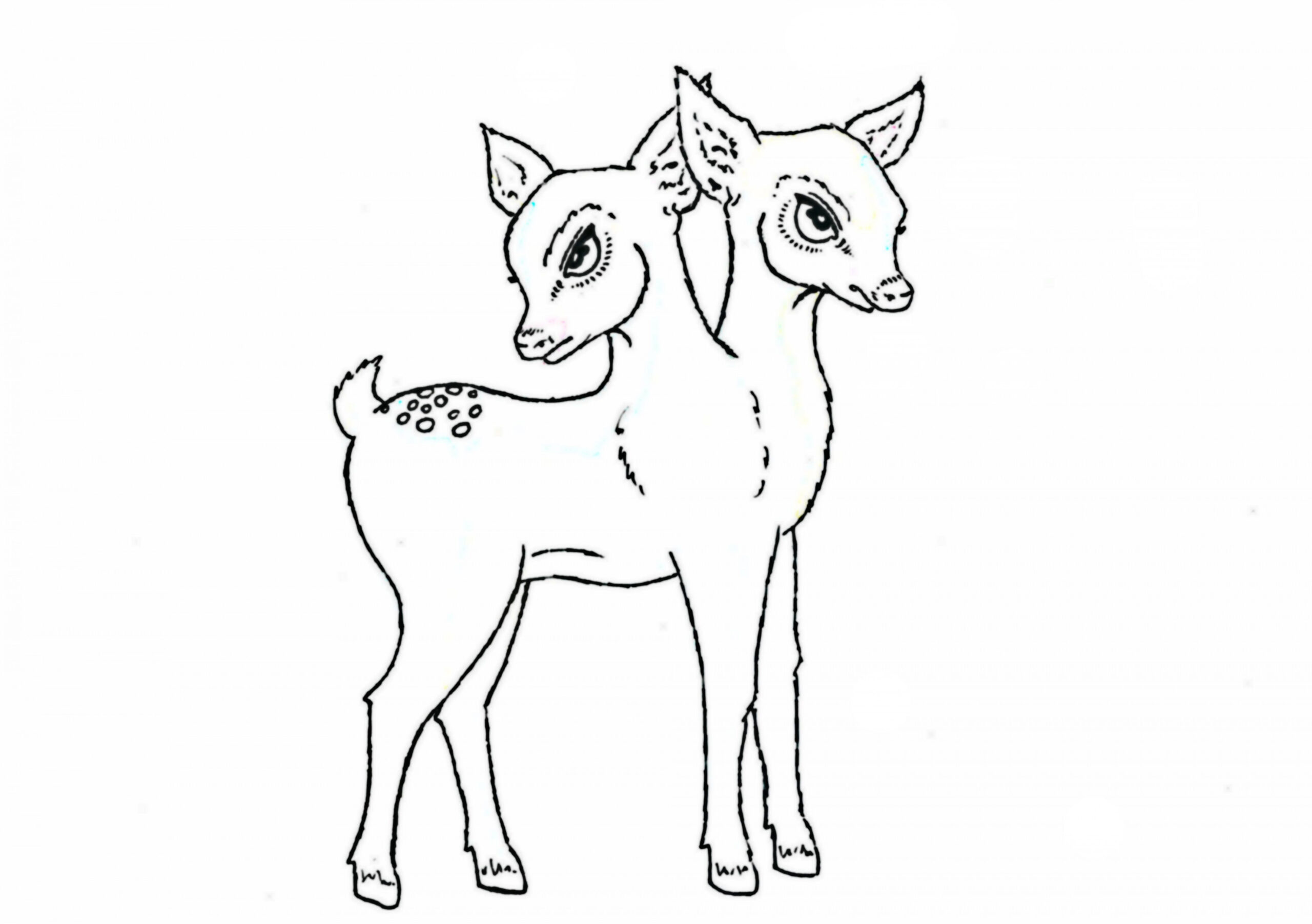 Full body two headed fawn drawing for potential sister tattoos