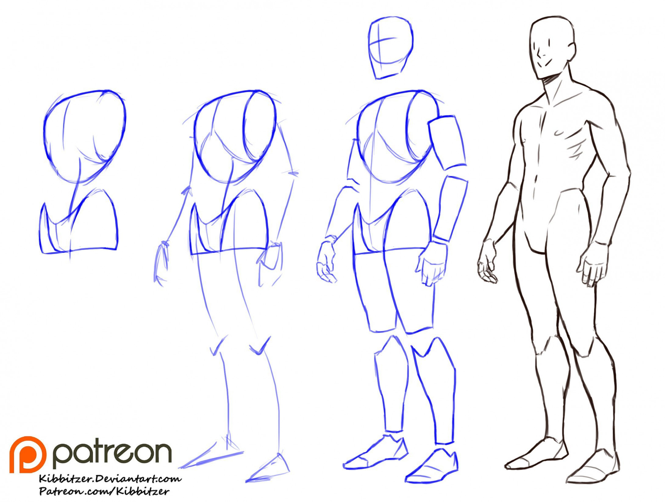 Fullbody step by step   kibbitzer on Patreon  Anatomy sketches