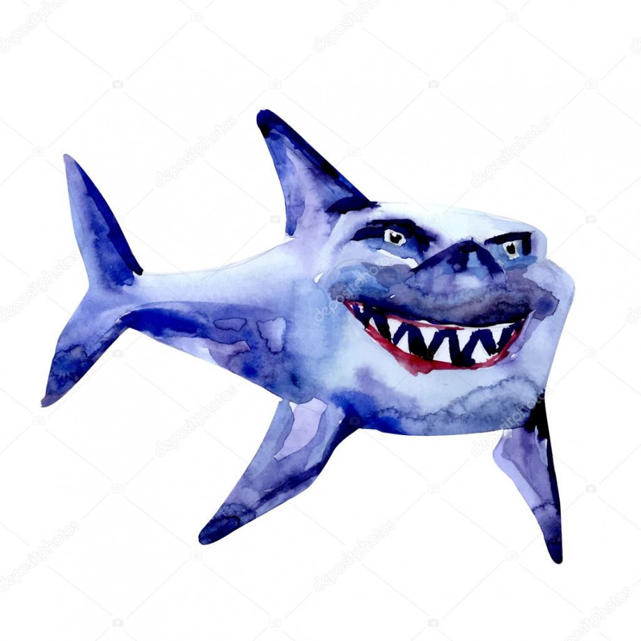 Funny cartoon shark watercolor drawing vector Stock Vector by