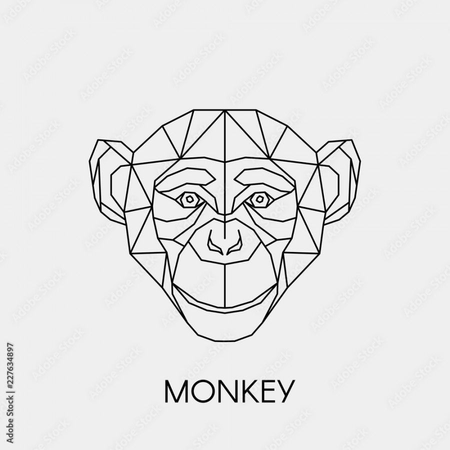 Geometric monkey. Polygonal linear animal head