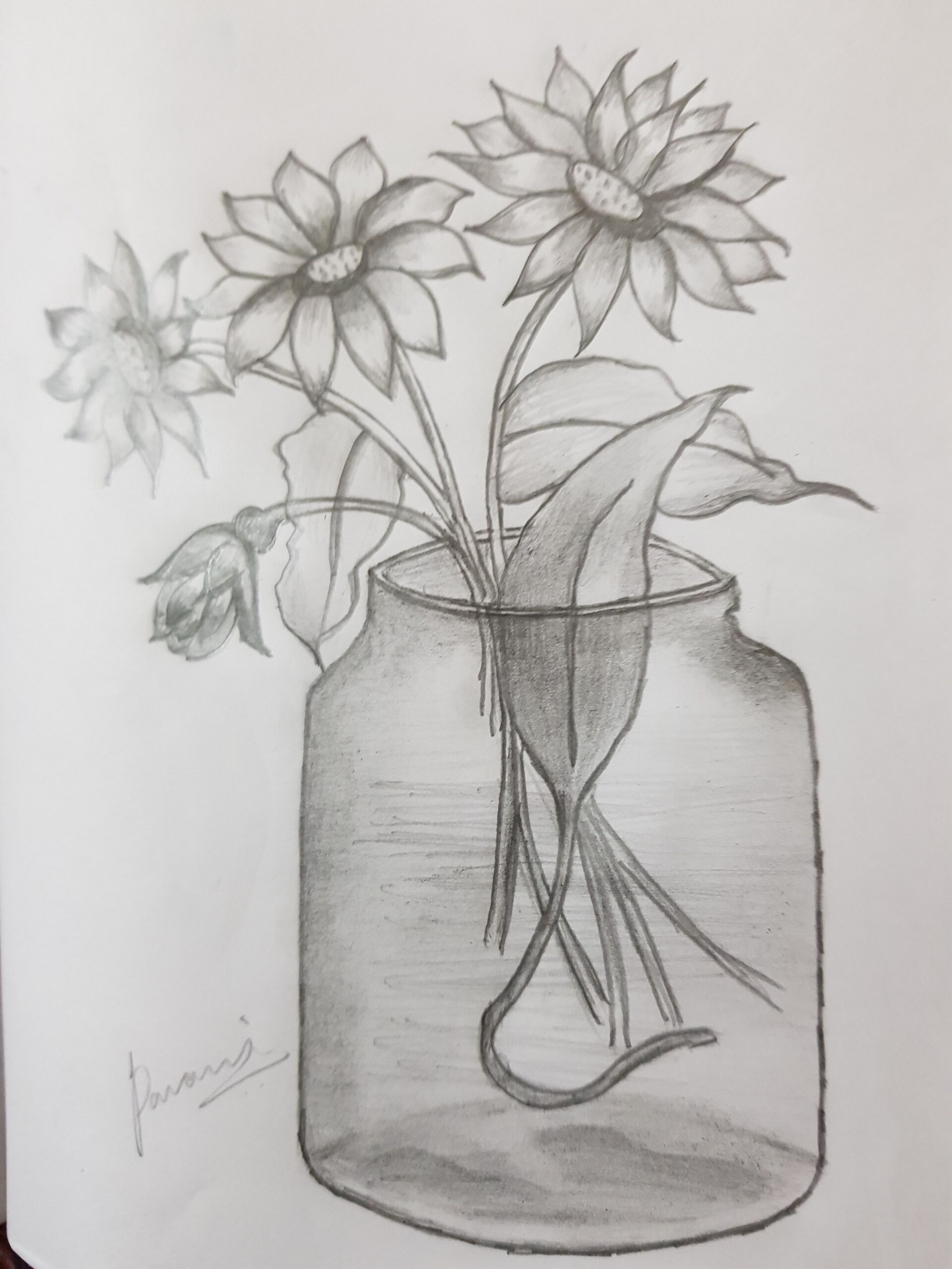 Glass flower vase  Drawings, Art drawings sketches creative