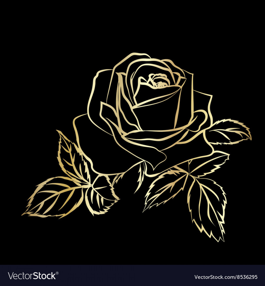 Golden rose sketch Royalty Free Vector Image - VectorStock