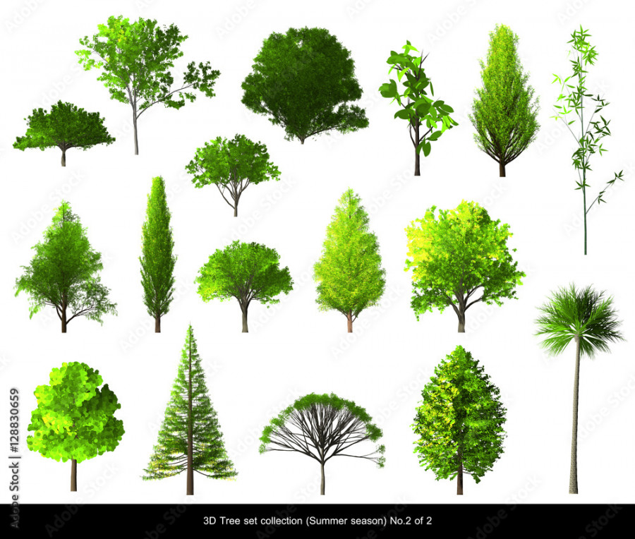 Green leaf Tree summer season set for architecture landscape