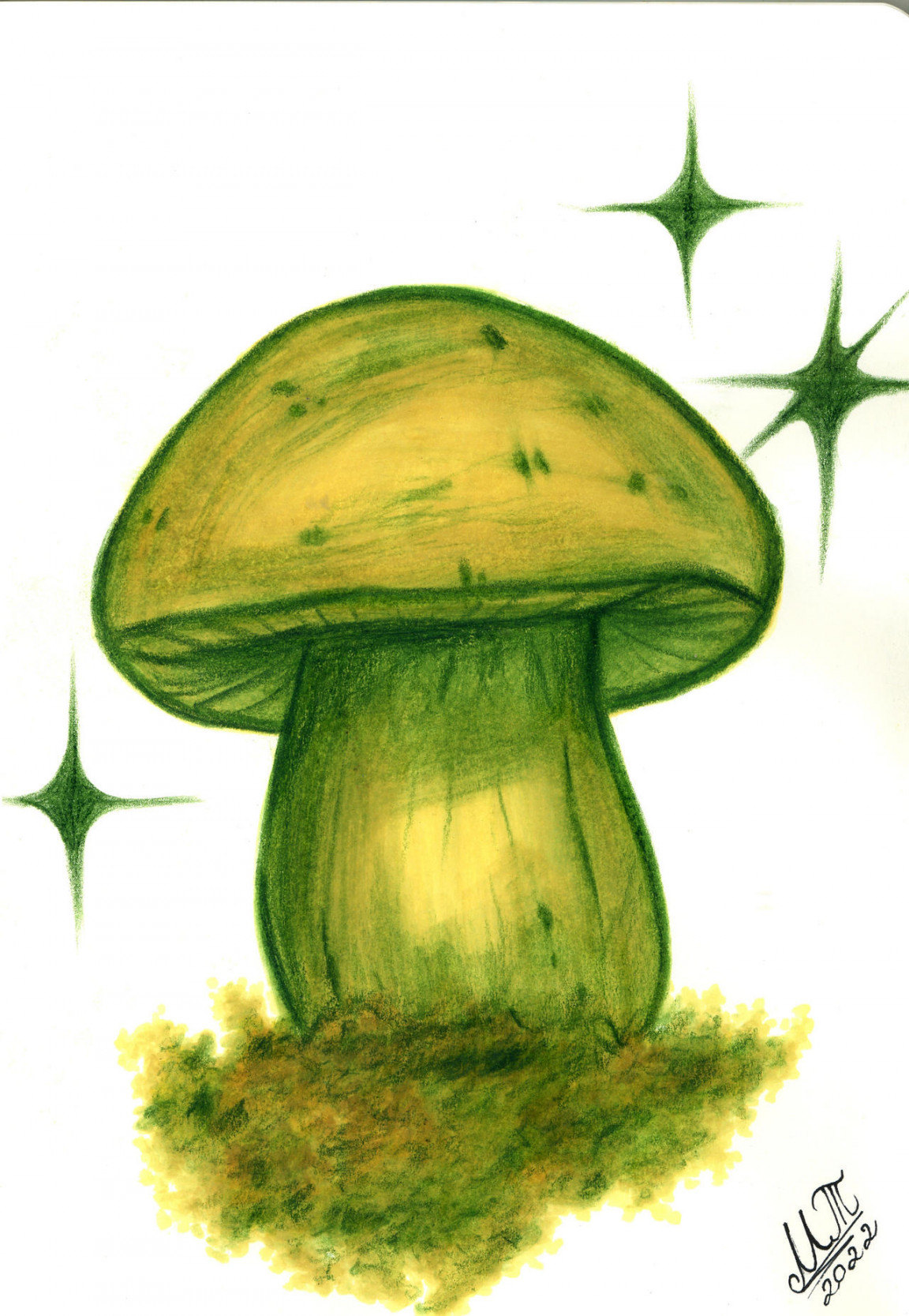 Green Mushroom Drawing by greenmarta on DeviantArt