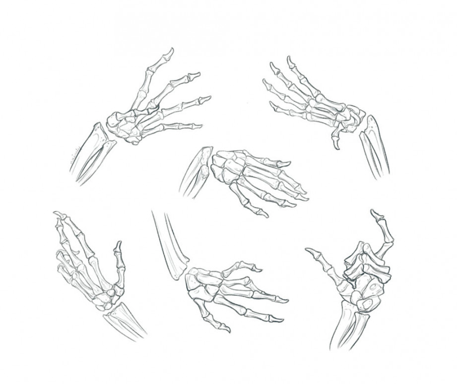 Hand Bone Anatomy Sketch Studies by Naimly on DeviantArt