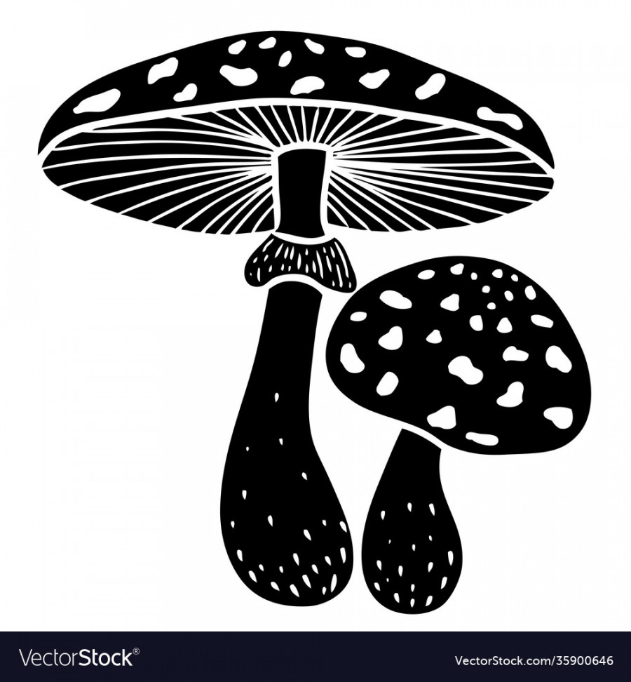 Hand draw mushroom fly agaric black Royalty Free Vector