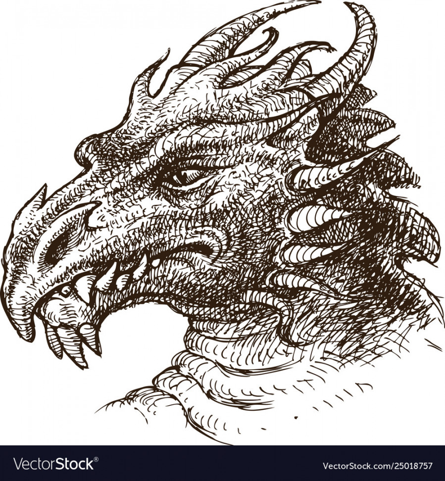 Hand drawing head a fantastic dragon Royalty Free Vector