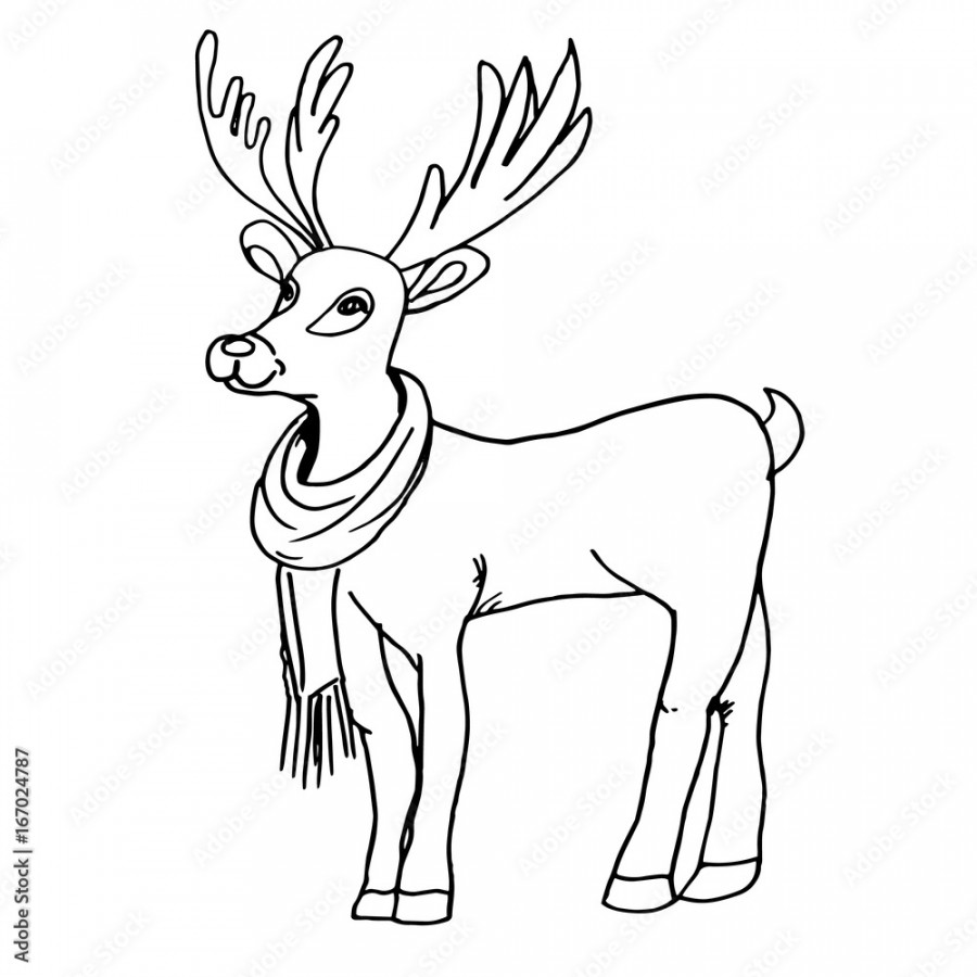 Hand drawn animal illustration with deer, vector