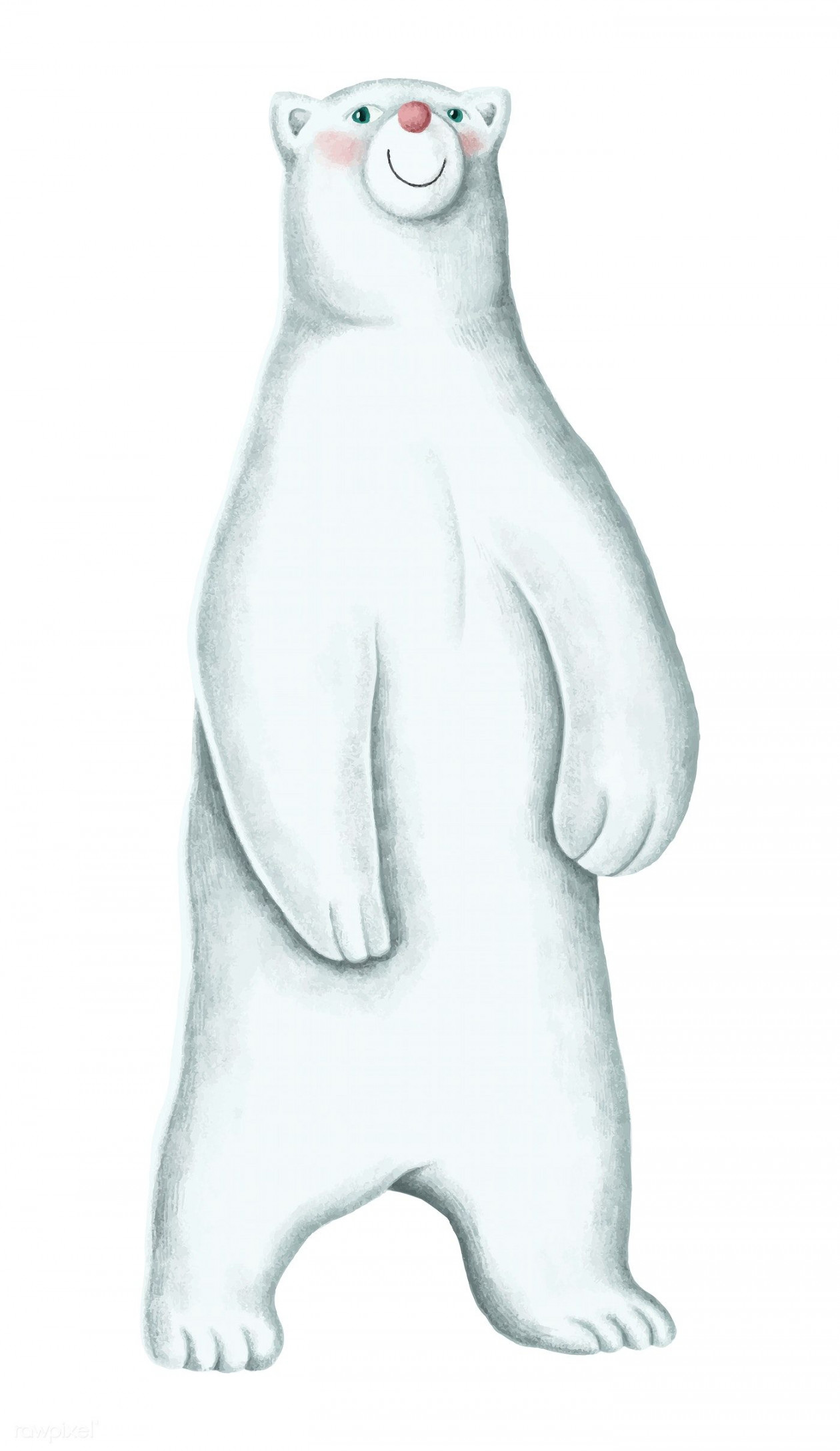 Hand-drawn standing white polar bear  free image by rawpixel