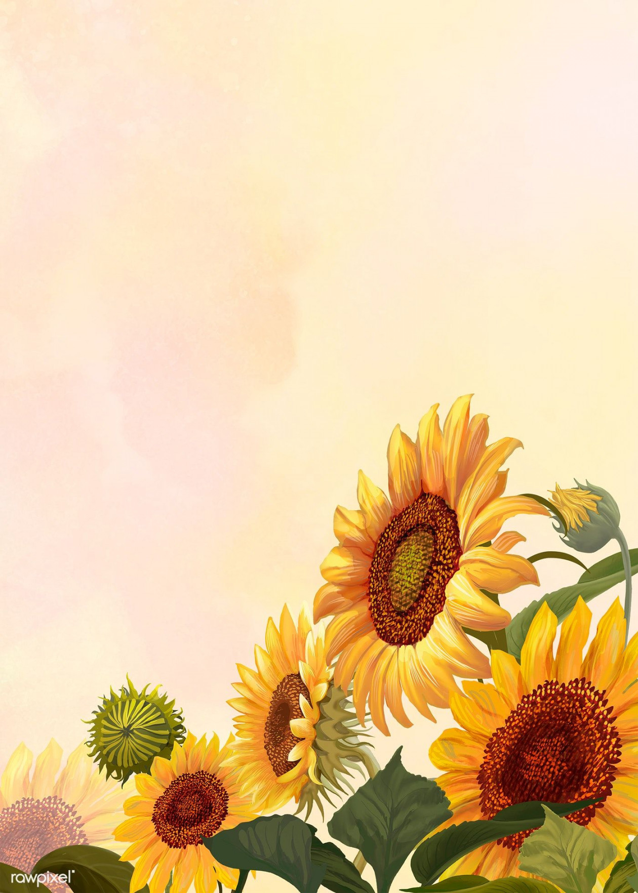 Hand drawn sunflower on a yellow background  premium image by