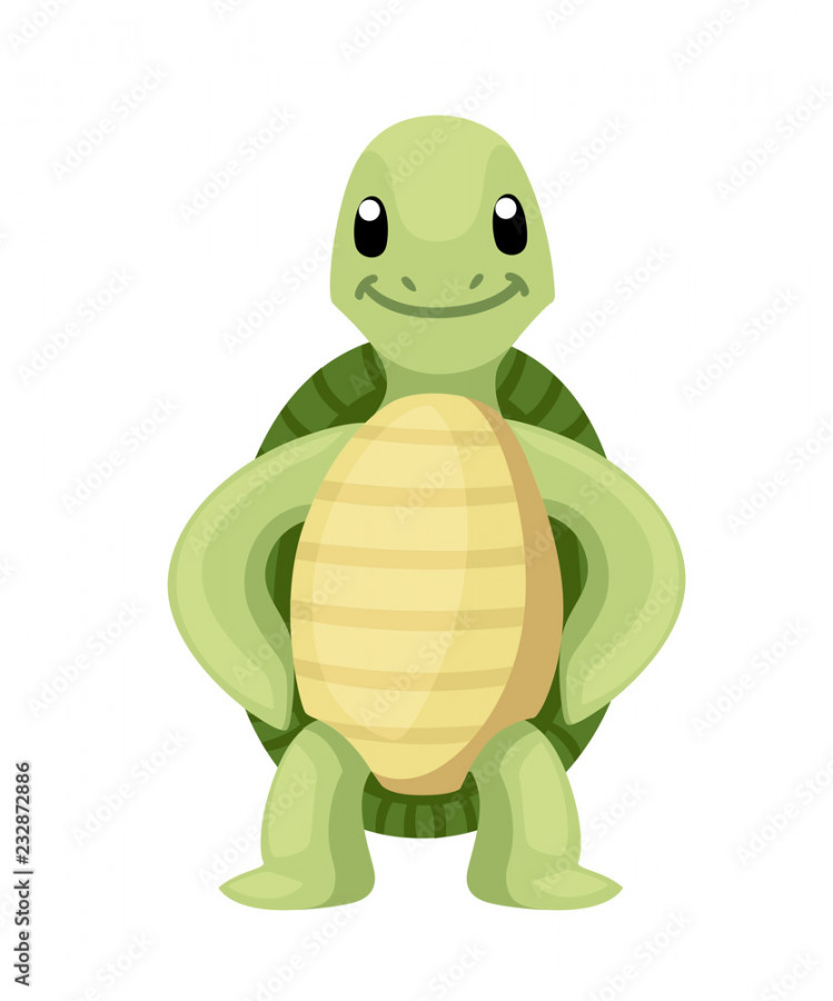 Happy cute turtle stand with smile. Cartoon character design