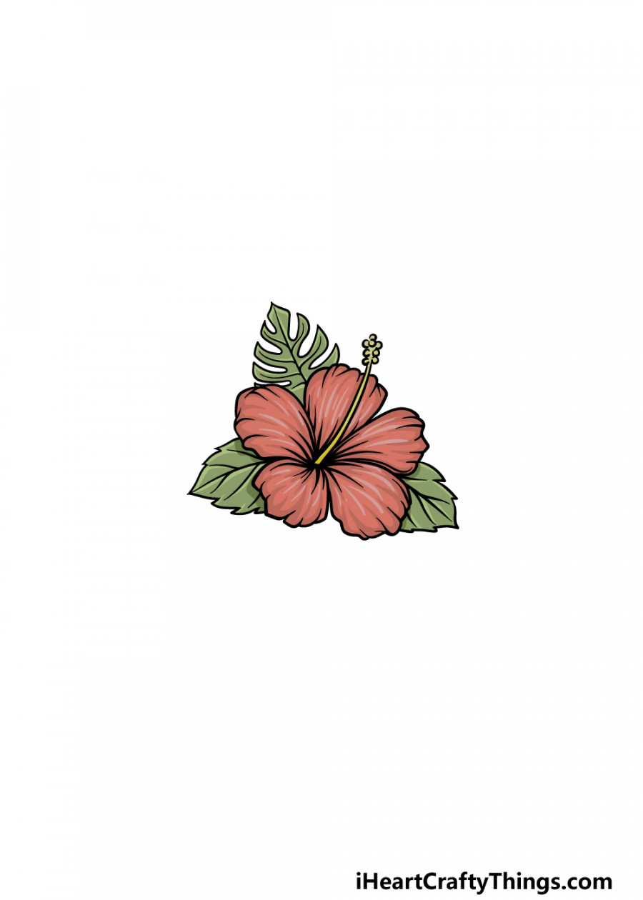 Hawaiian Flower Drawing - How To Draw A Hawaiian Flower Step By Step