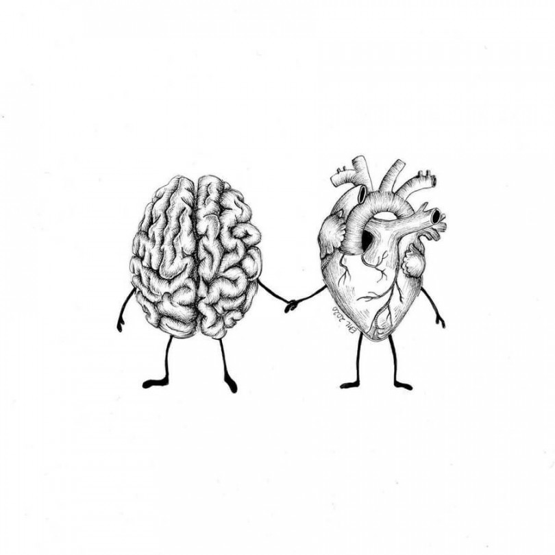 Heart and Brain Drawings  Brain drawing, Brain art drawing, Line