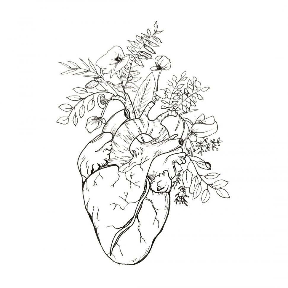 Heart of flowers  Outline art, Anatomical heart drawing, Flower