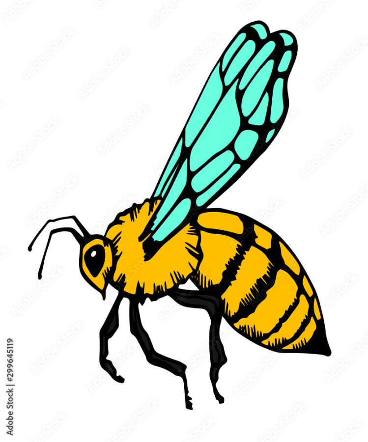 Honey bee vintage vector drawing