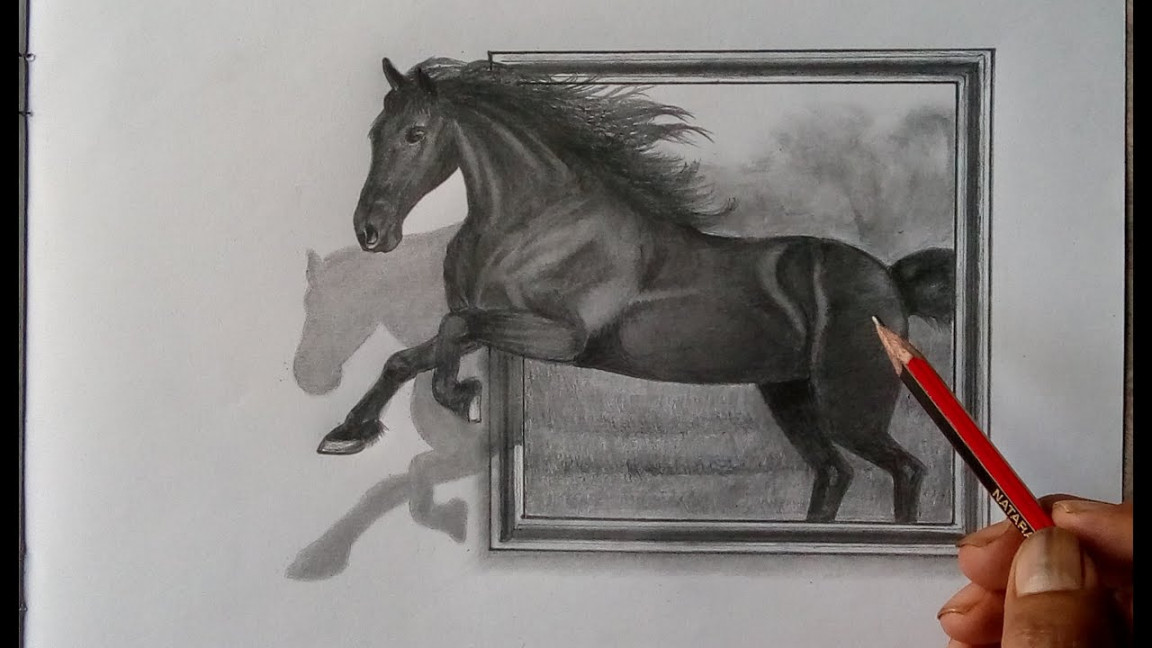 Horse drawing, how to draw a D portrait.