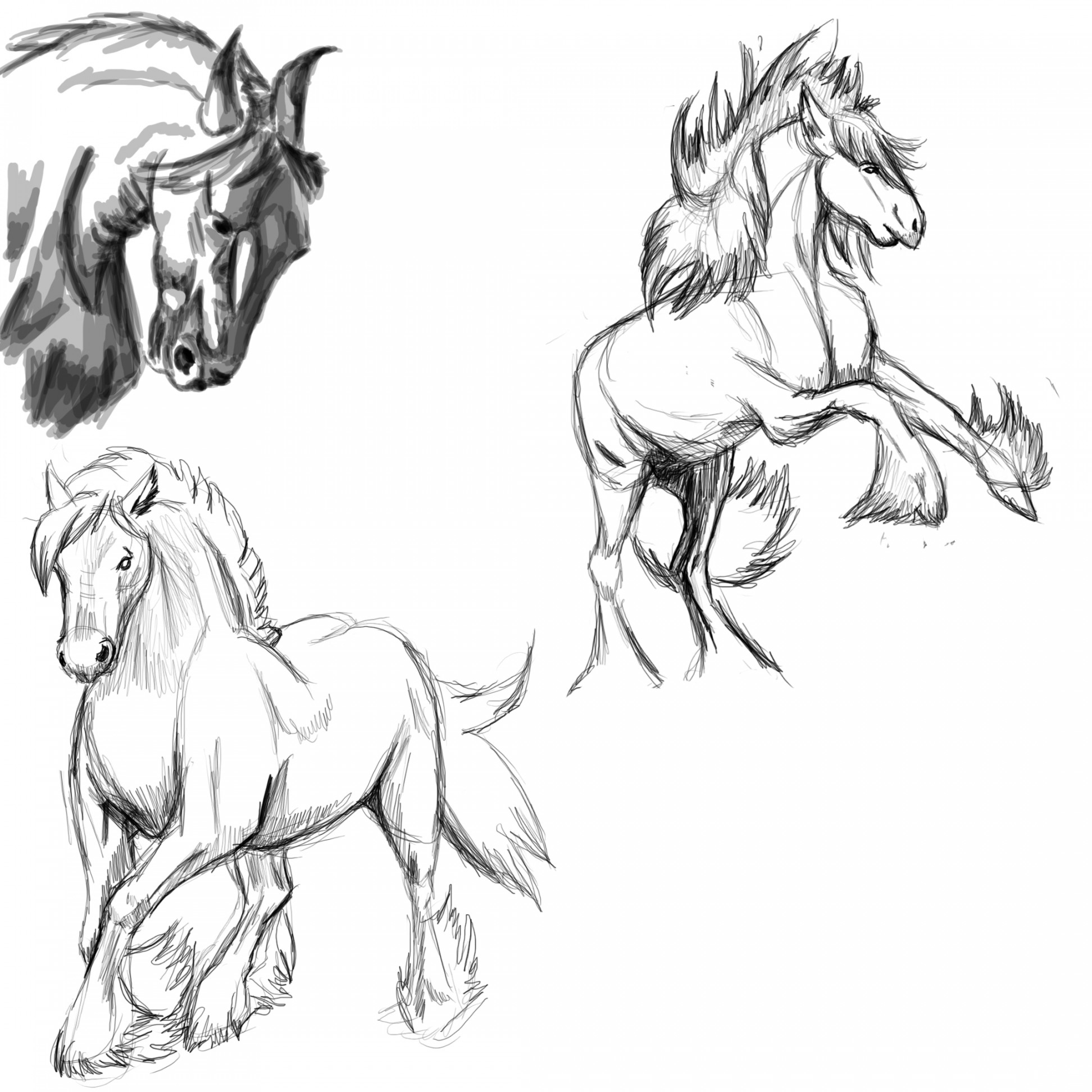 Horse Poses: Study by FlameFoxe on DeviantArt